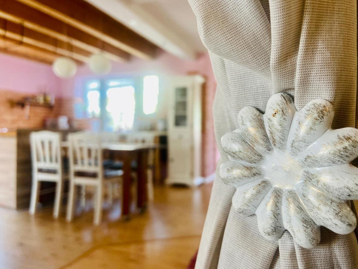 Boutique Hotel Shambala Zeitlos Wiedemar المظهر الخارجي الصورة